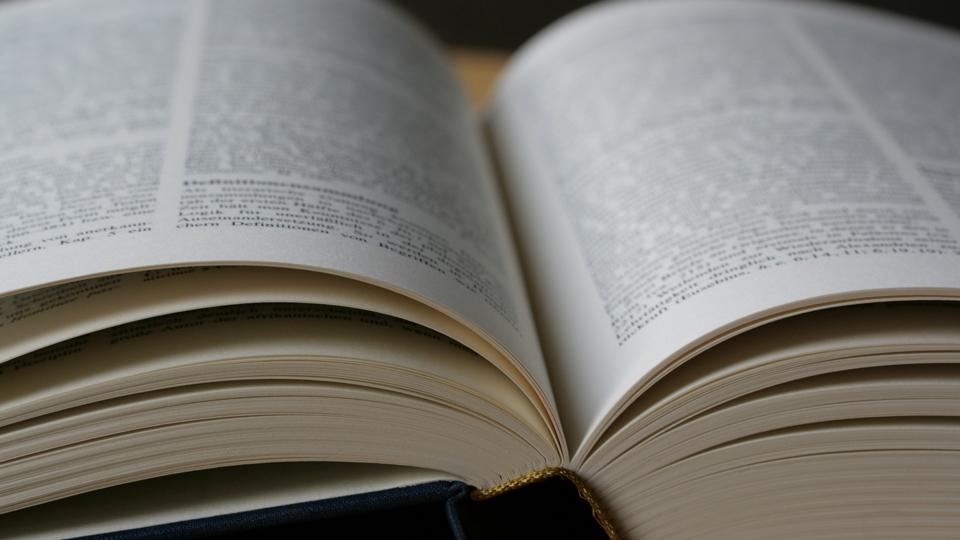 Was ist die Fanum Tax? Bedeutung, Hintergründe und Einfluss auf soziale Medien